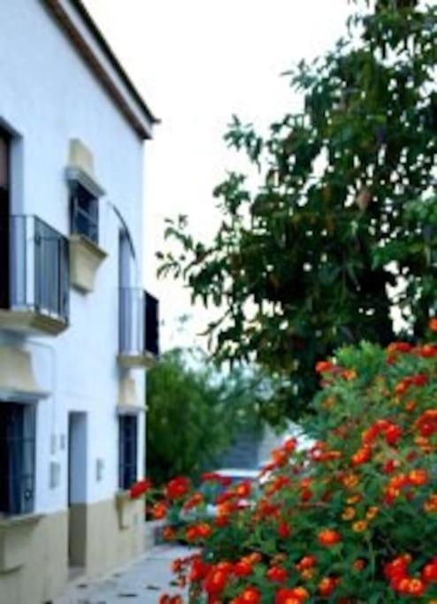 Eagles Nest - Massive Townhouse With Pool With Outstanding Views Villa Algodonales Buitenkant foto